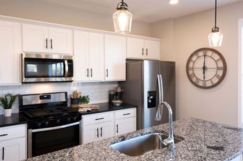 Gooseneck kitchen faucet with pull down sprayer